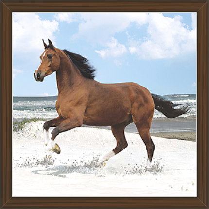 Horse Paintings (HS-3403)